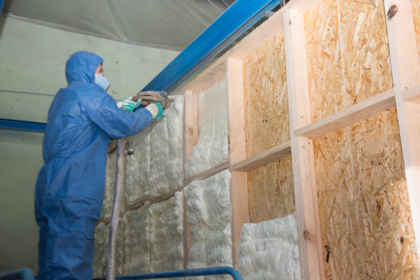 Best Residential Insulation Services  in USA